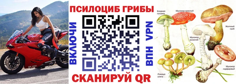 закладка MEGA ССЫЛКА Галлюциногенные грибы Psilocybine cubensis Новотитаровская