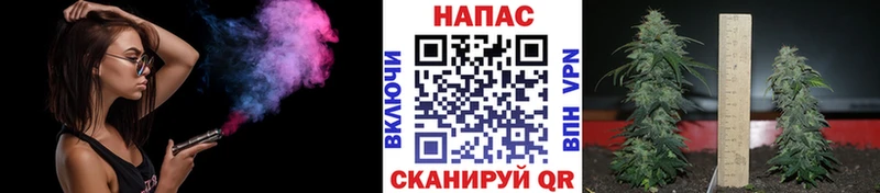 Шишки марихуана Amnesia  omg ссылка  Новотитаровская 